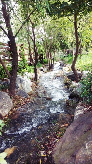 시내뭇,나무,자연,공원,stream,tree,자연,풍경,nature,landscape,water,물,outdoors,옥외,흐름,creek,작은 만