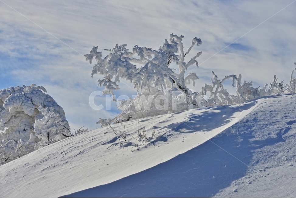 snow,눈,nature,자연,outdoors,옥외,ice,빙,mountain,산,mountainrange,산맥,무주,덕유산,덕유산설경,겨울,계절,향적봉,중봉,겨울,계절,winter,season