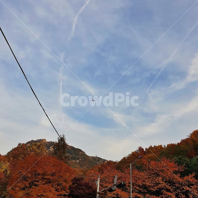 자연,산,하늘,구름,가을,날씨,바람,이동,비행기,여행,국내,해외,가을,계절,fall,autumn,season,자연,풍경,nature,landscape,tree,나무,plant,식물