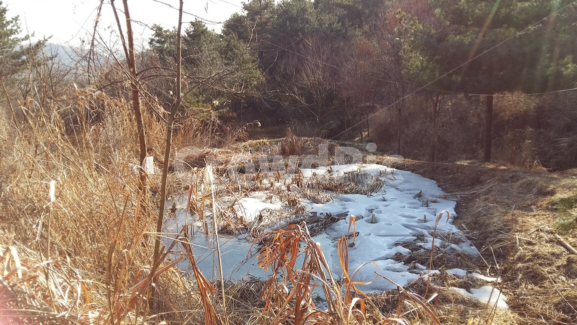 3월,봄,계곡,살얼음,꽃샘추위,겨울,계절,winter,season,자연,풍경,nature,landscape,land,땅,outdoors,옥외,water,물