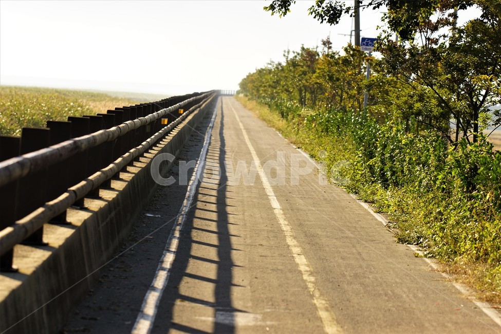 자연,길,하늘,빛,초록,감성,풍경,sky,nature,자연,풍경,nature,landscape,road,도로,freeway,고속 도로,highway,고속도로