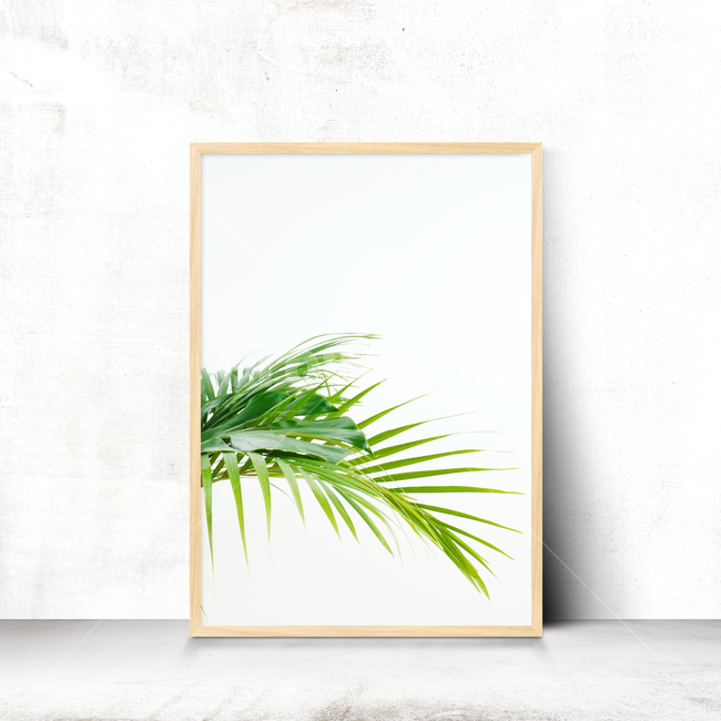 shadow,photo frame,space,summer,background image,palm tree,background,interring,silhouette,floor,poster,wall,Photo Frame,frame