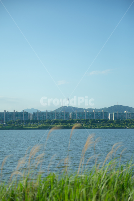 한강,자연,식물,감성사진,풍경사진,하늘,도시,풍경,city,landscape,한국도시풍경,한국도시경관,korea cityscape,grass,잔디,plant
