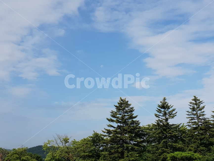 구름,자연,모양,편안함,따스함