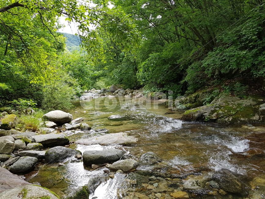 물,자연,water,흐름,계곡,여름,계절,summer,season,자연,풍경,nature,landscape,outdoors,옥외,stream,creek,작은 만