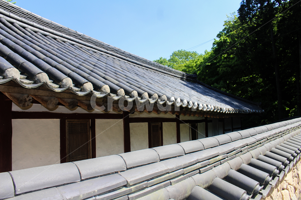 여름,한옥마을,담장,한옥,궁,palace,한국전통,한국문화,koreantraditional,koreanculture,korean,아름다운,햇빛,절,temple,기와집,초록색,녹색,green,싱그러운,돌담길,trees,한옥집,silent,부처님오신날,지붕,창문,기왓장,기와,house,한국전통,한국문화,korean traditional,korean culture