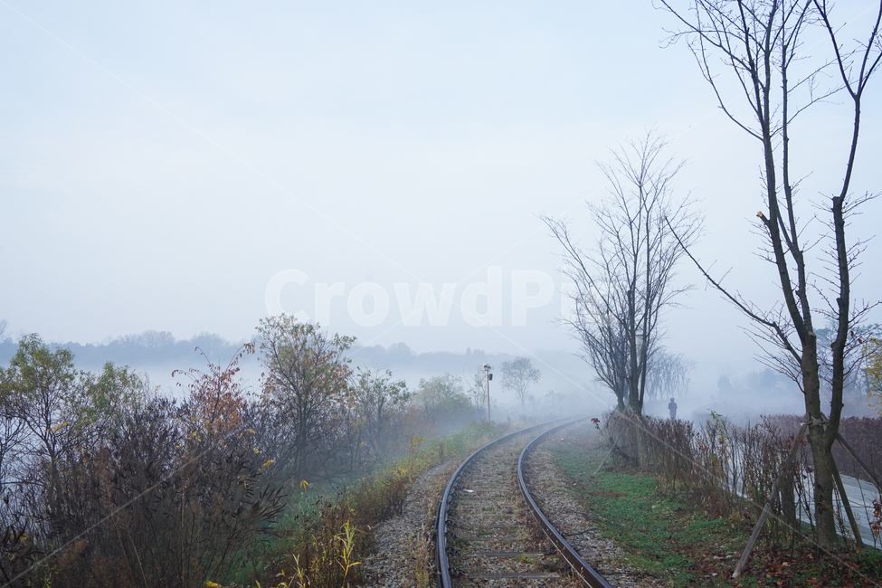 철길,철로,기찻길,안개,나무,가을,새벽,자연,풍경,nature,landscape,transportation,교통,rail,레일,train track,railway,철도