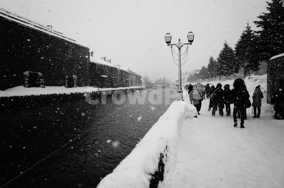 human,인간,person,사람,자연,nature,눈,snow,눈보라,운하,겨울,계절,winter,season