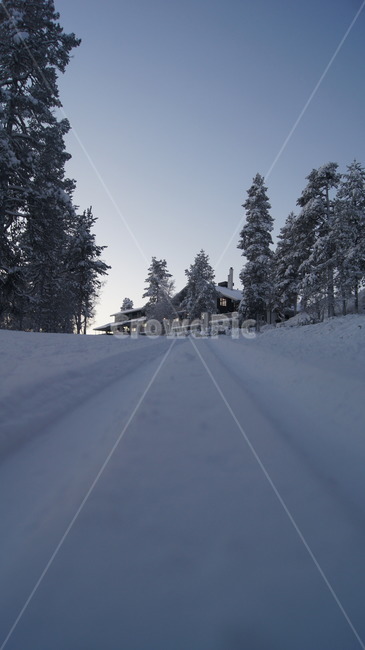 핀란드,로바니에미,툰드라,북극권,북극,사리셀카,크로스컨트리,겨울,계절,winter,season,자연,풍경,nature,landscape,tree,나무,plant,식물,fir,전나무