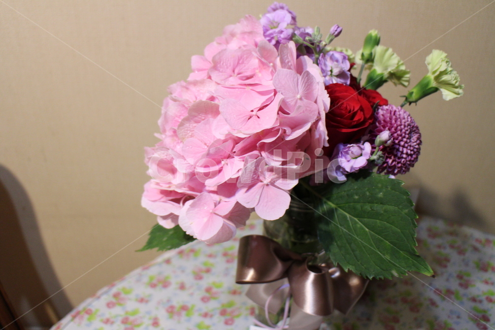 축하,꽃,축하꽃,생일축하,이쁜꽃,꽃,flower,기념일,축하,anniversary,congratulation,celebrate,celebration