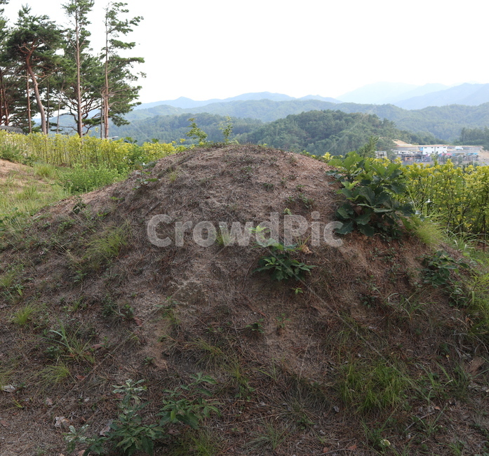 무덤,묘,죽음,산소,망자