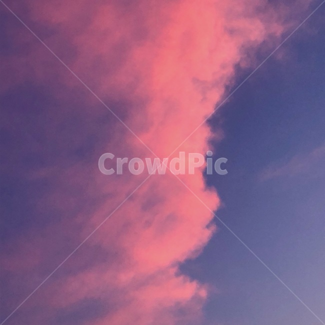 nature,자연,weather,날씨,하늘,cloud,sky,구름,cumulus,적운,outdoors,분홍색,분홍빛하늘,노을,저녁하늘,색깔,색상,색채,색감,color sense,color sensitivity,feeling of color