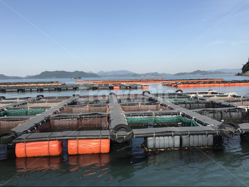 전복양식장,양식장,해남,완도,바다,산업,industry,industrial,어업,fishery,fishing industry