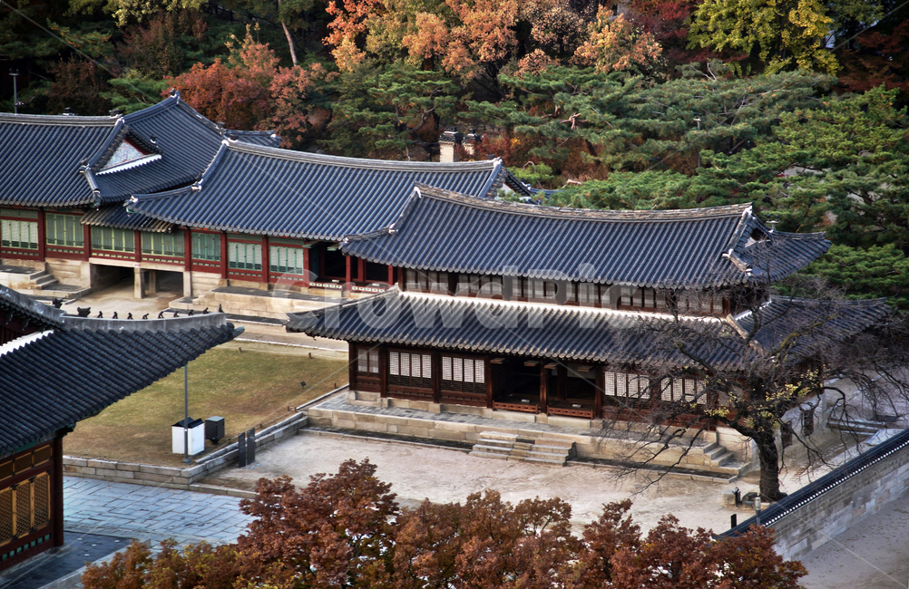 덕수궁,궁궐,가을,자연,도심,석어당,준명당,한국전통,한국문화,korean traditional,korean culture