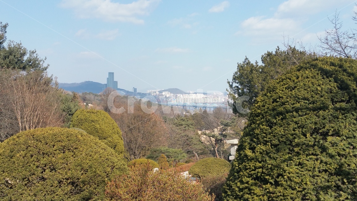 가을,하늘,자연,nature,나무,자연,풍경,nature,landscape,outdoors,옥외