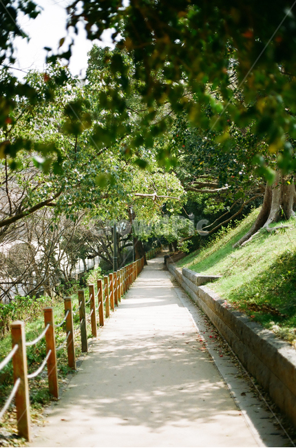 garden,정원,arbour,정자,옥외,outdoors