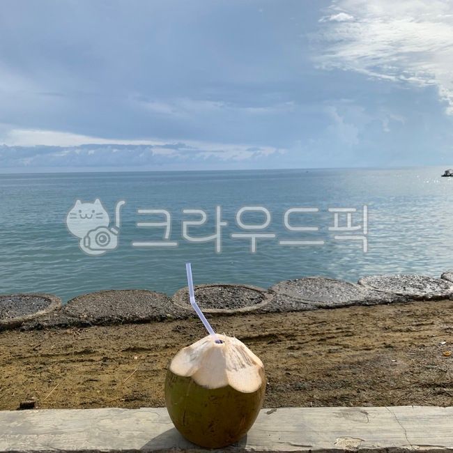 인도네시아,바다,코코넛,귀여운,풍경,plant,식물,food,음식,과일,fruit,vegetable,야채