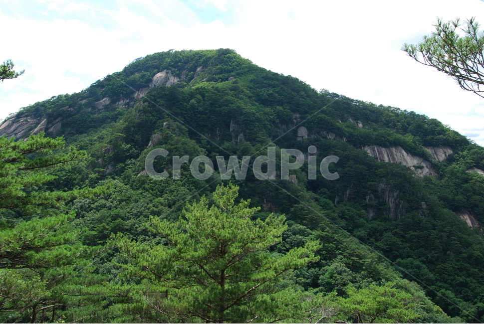 구왕봉,괴산,한국,등산로,자연,자연,풍경,nature,landscape,한국자연풍경,한국자연경관,korea nature landscape,outdoors,옥외,hill,언덕