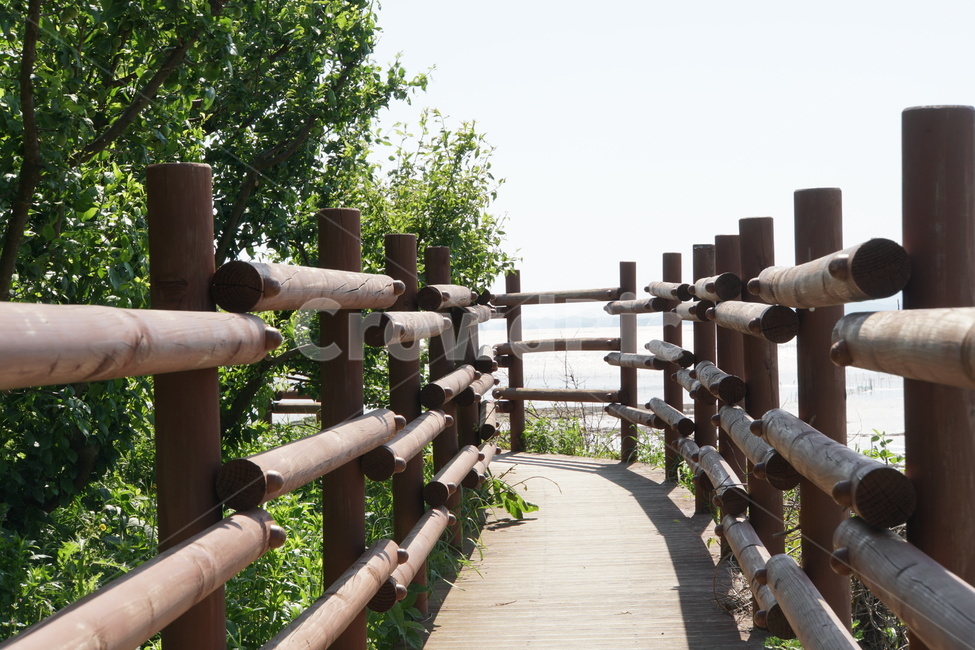 순천만,꽃,와온,꽃길,다리,자연,풍경,nature,landscape,banister,난간,handrail