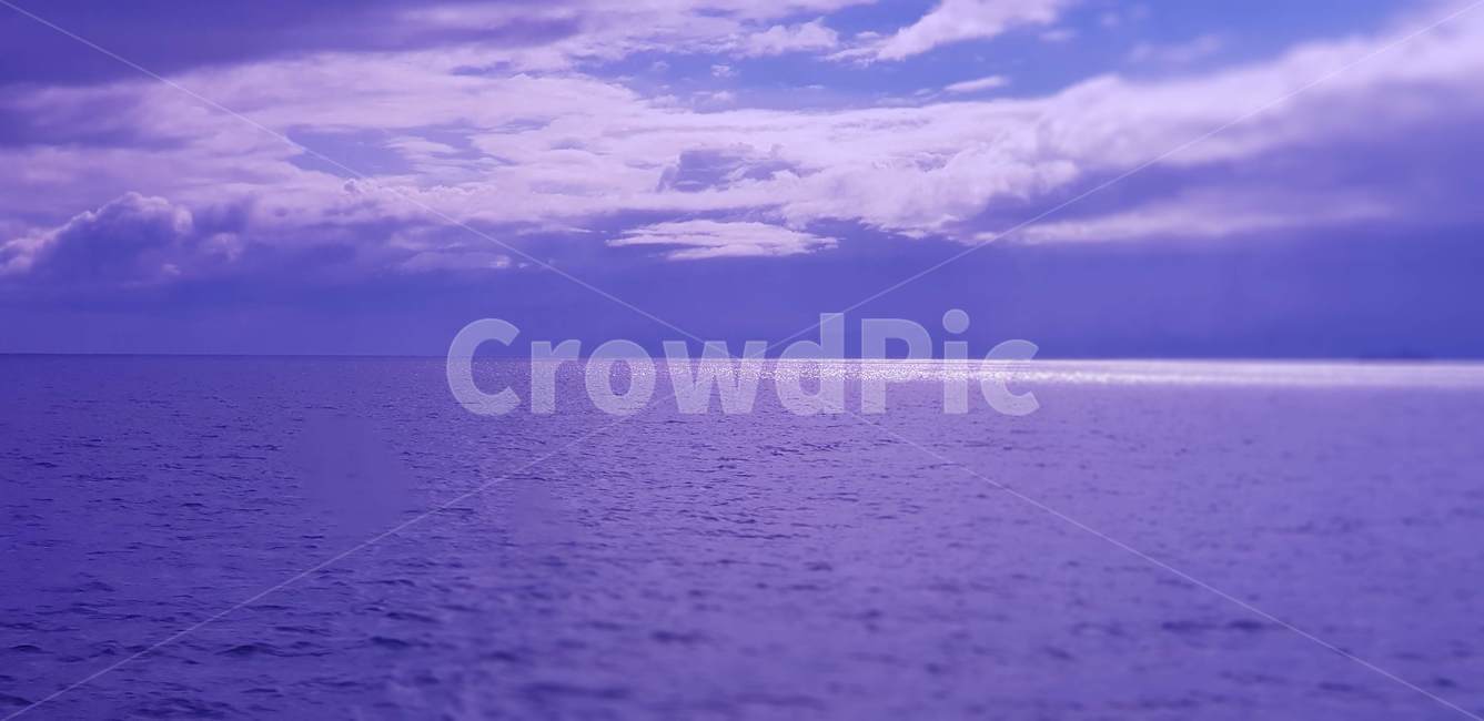 하늘,바다,violet,purple,바이올렛,블루,blue,구름,자연,풍경,nature,landscape,outdoors,옥외