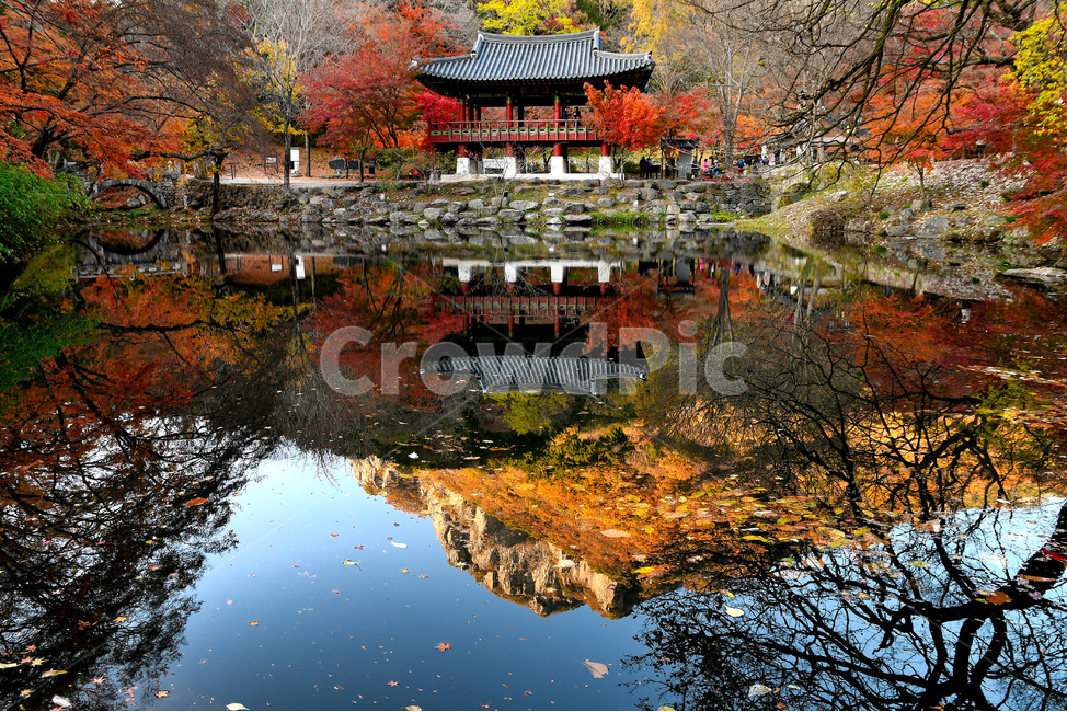자연,물,건축물,단풍,개울,가을,계절,fall,autumn,season,한국전통,한국문화,korean traditional,korean culture