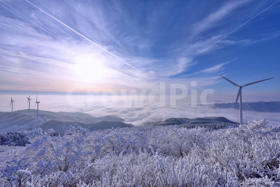 강원도,태기산,상고대,구름,풍력발전기,풍력,푸른하늘,오후,풍경,노을,자연,겨울,눈꽃,여행,겨울산행,눈,운해,산행,설산,설경,추운,강추위,추위,햇빛,안개,화이트,스노우,snow,백두대간,나무,겨울산,겨울,계절,winter,season,자연,풍경,nature,landscape,한국자연풍경,한국자연경관,korea nature landscape,산업,industry,industrial,에너지산업,energy industry,outdoors,옥외,ice,얼음,빙