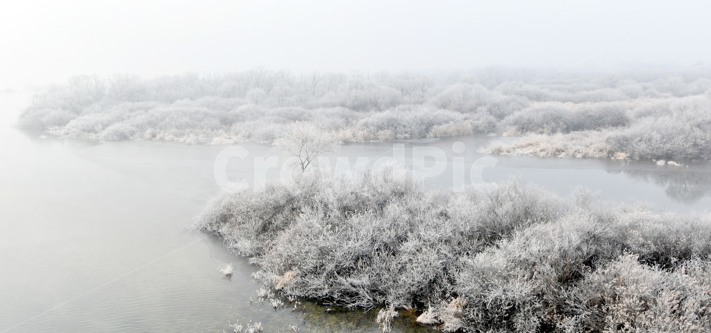 상고대,서리발,겨울,겨울풍경,서리,소양강,눈,나무,겨울,계절,winter,season,자연,풍경,nature,landscape,outdoors,옥외,frost,snow