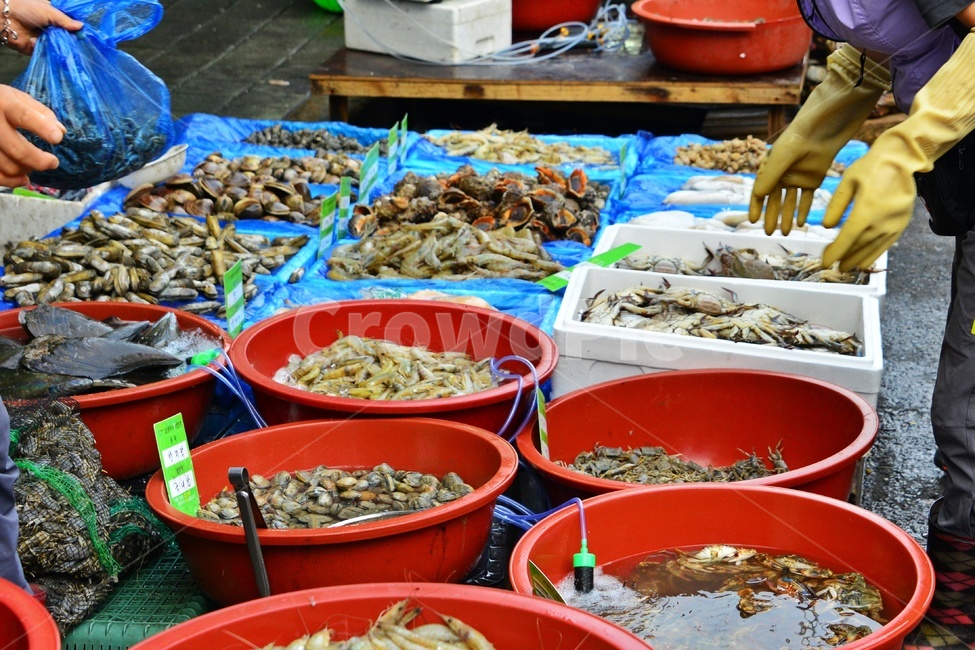 plant,식물,food,음식,재래시장,전통시장,노점상,좌판,bowl,사발,human,인간,person,사람,market,시장,고사리,도라지,상추,생강,머우대,조게,꽃게,머더덕,새우,소라,꼬막,가리비