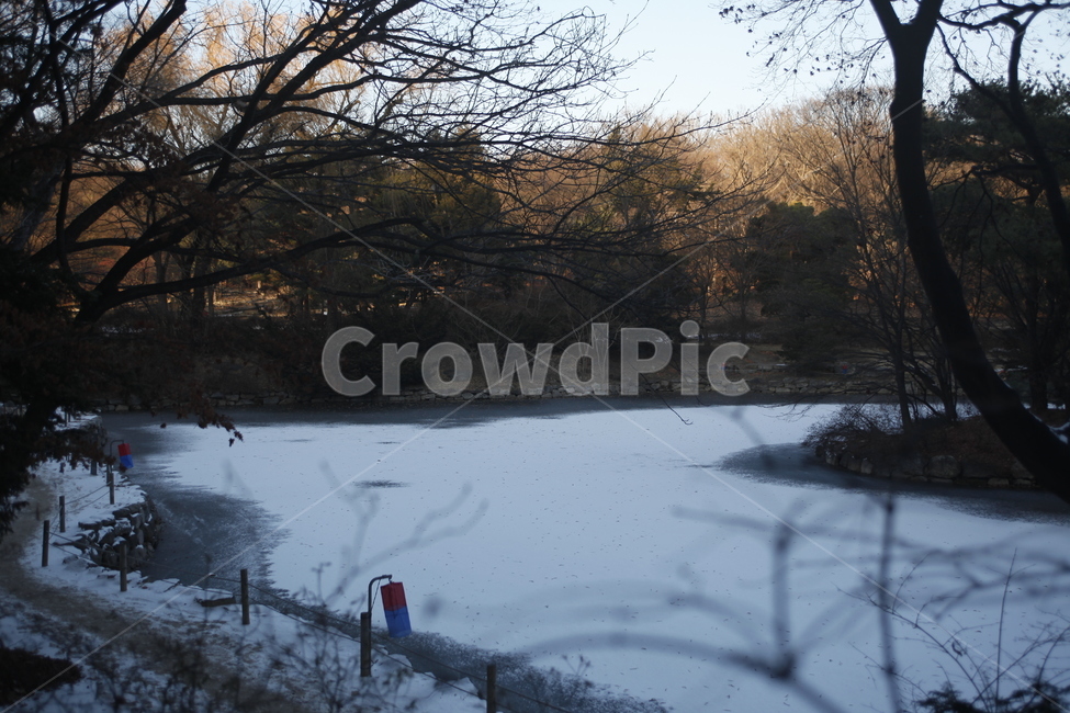 창경궁,한옥,서울,랜드마크,seoul,겨울,겨울,계절,winter,season,자연,풍경,nature,landscape,outdoors,옥외