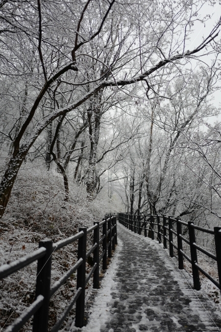 첫눈오는날,첫눈,산,눈,눈꽃,겨울,겨울,계절,winter,season,자연,풍경,nature,landscape,railing,난간,banister,handrail