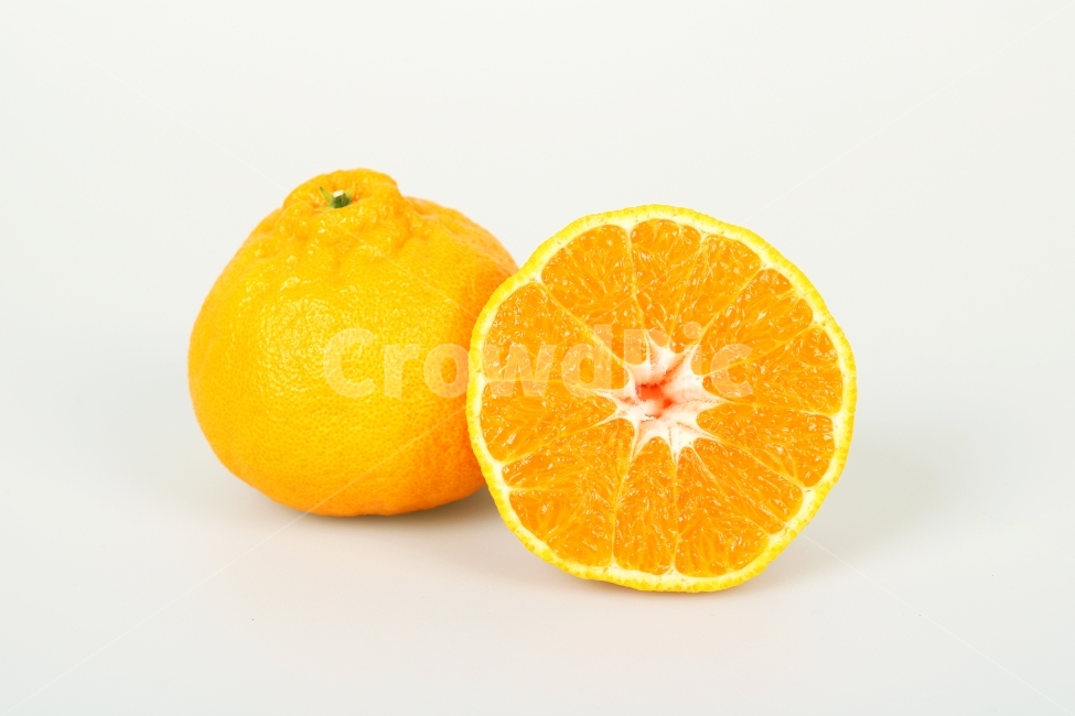한라봉,오렌지,과일,생과일,음식,디저트,웰빙,식물,열매,다이어트,컨셉,콘셉,다울,단면,음식,식재료,요리,food,cook,meal,dishes,food reserves,과일,열매,fruit,누끼,remove background