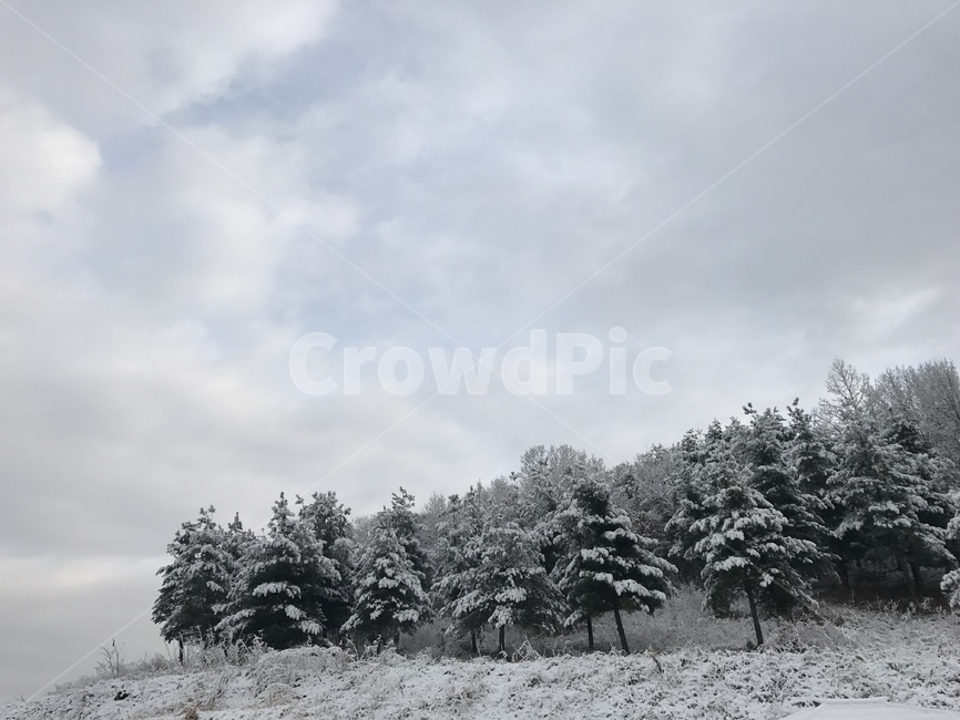 겨울,풍경,계절,눈,winter,snow