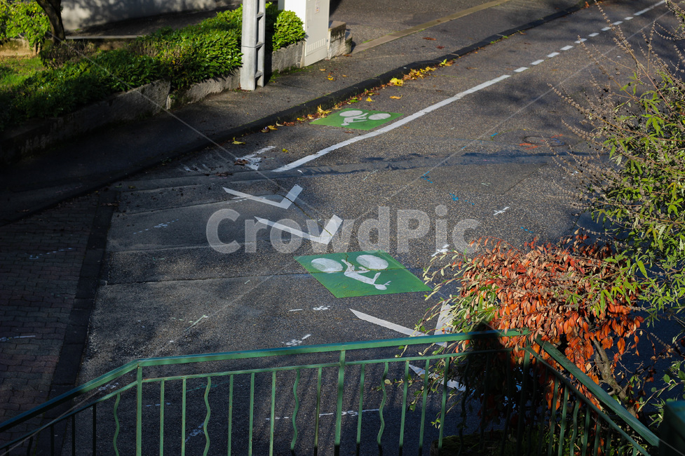 asphalt,아스팔트,tarmac,타맥,표시,사인,그림,보도,차도,교통,교통수단,traffic,transportation