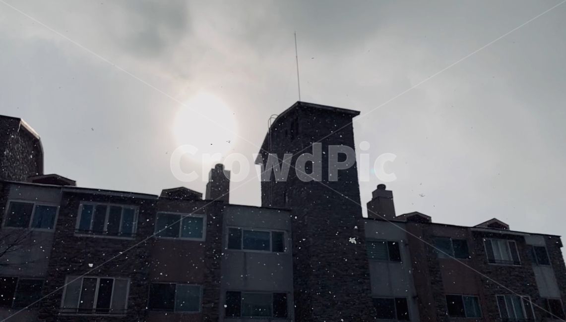 building,눈,snowing,날씨,건물,역광,자연,겨울,winter