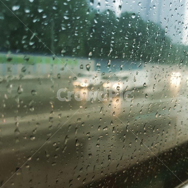 rain,비,비오는날,비내리는날,장마