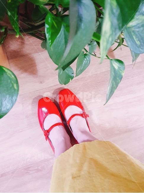 구두,빨간구두,플랫슈즈,red,shoes,redshoes,flayshoes