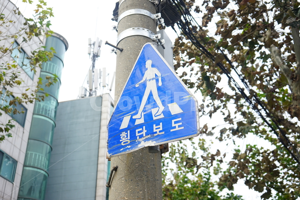 표지판,횡단보도,전봇대,알림,교통표지판,교통,교통수단,traffic,transportation