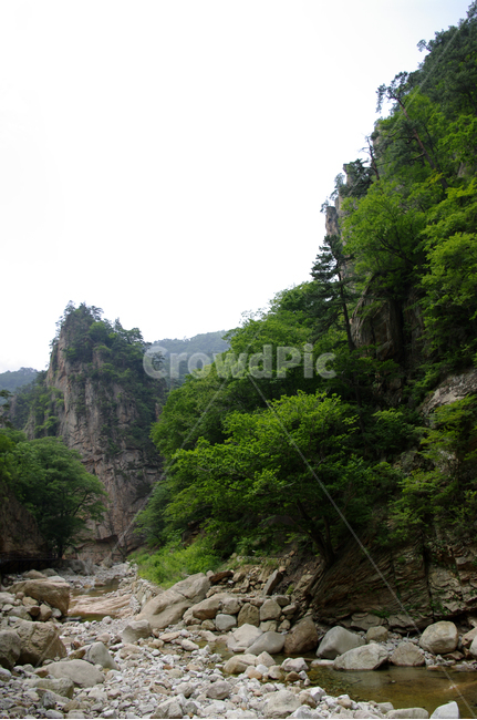 산,계곡,바위,암석,풍경,나무,설악산,자연,풍경,nature,landscape,outdoors,옥외,cliff,낭떠러지