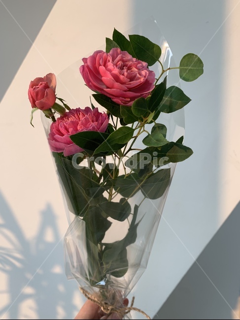 꽃,꽃다발,이쁜꽃,갬성꽃,분홍꽃