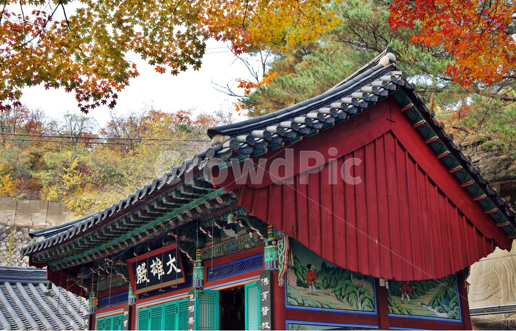 대웅전,보타사,서울,불교,사찰,가을,단풍,암자,가을,계절,fall,autumn,season,한국전통,한국문화,korean traditional,korean culture,건축물,건물외관,exterior,building,structure,architecture,construction,roof,지붕