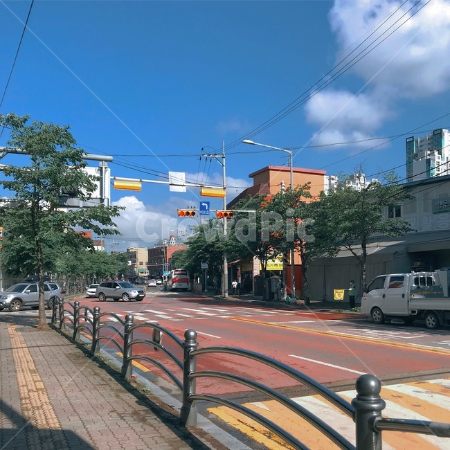 road,도로,path,통로,신호등,signal,across