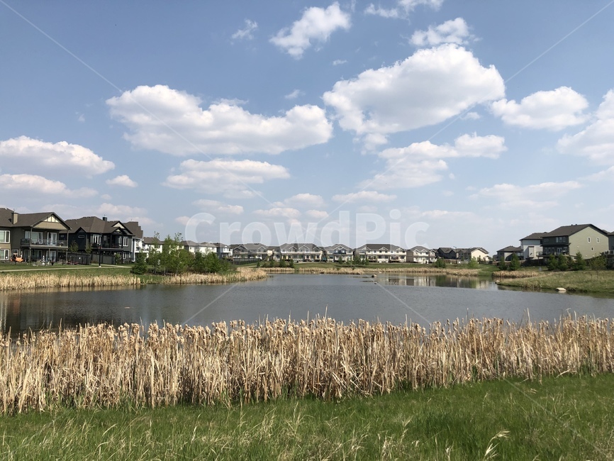 nature,자연,plant,식물,grass,잔디,outdoors,옥외,호수