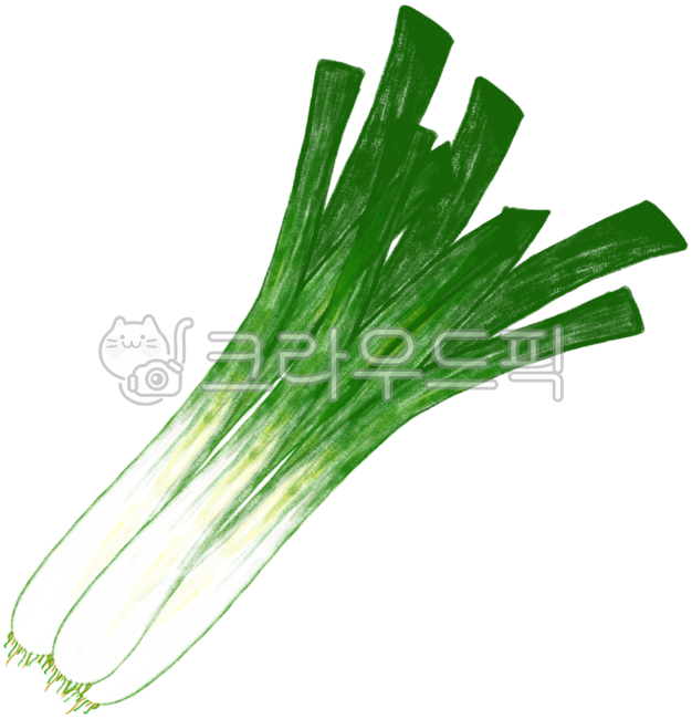 대파, 파, 대파손그림, 대파일러스트, 대파이미지, 사진,이미지,일러스트,캘리그라피 - 짱유작가