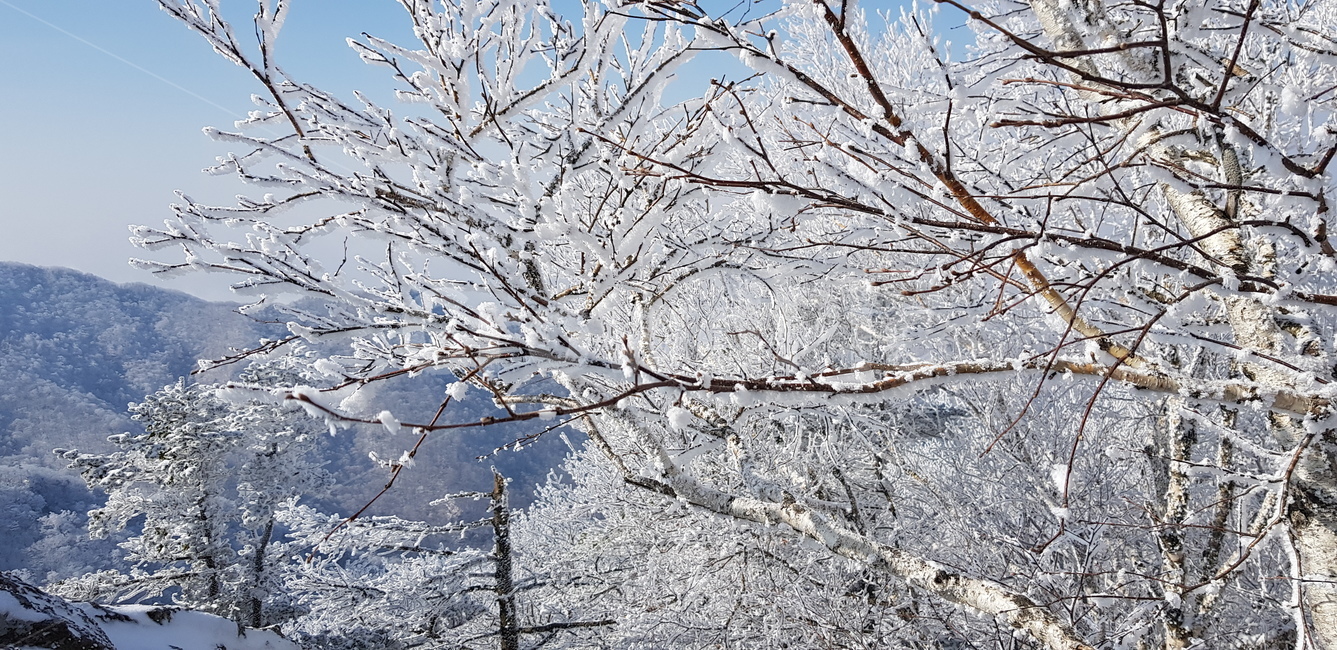설경,자연,눈보라,겨울,눈