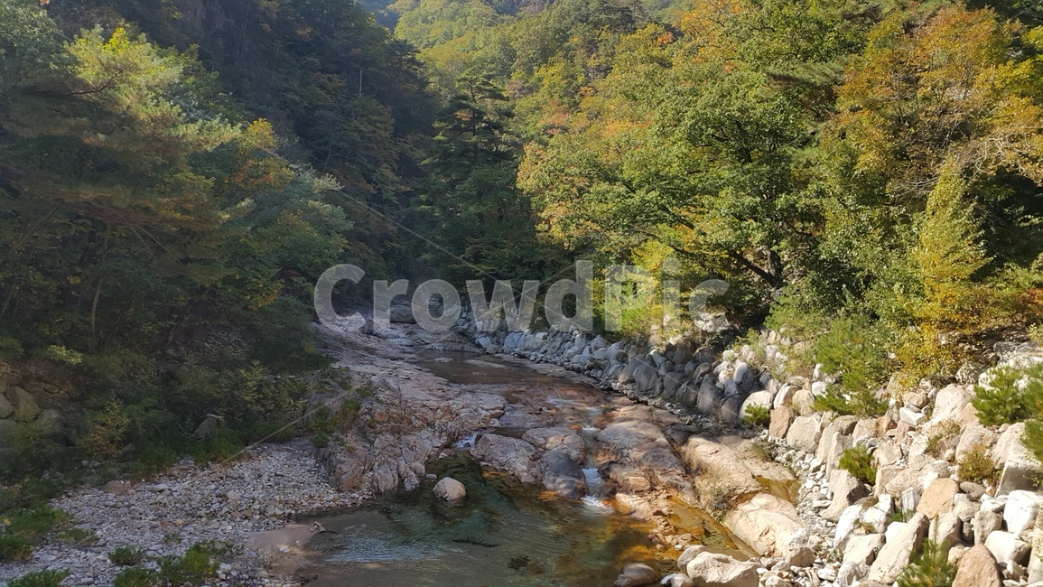 설악산,만경대,주전골,금강문,가을단풍,단풍,화려,국립공원,설악산국립공원,탐방,자연,풍경,nature,landscape,water,물,outdoors,옥외,stream,흐름,creek,작은 만