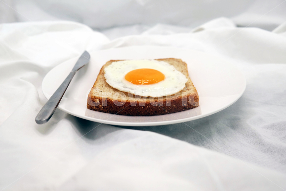 계란,달걀,프라이,나이프,아침,식사,토스트,식빵,브런치,음식,식재료,요리,food,cook,meal,dishes,food reserves,아침식사,조식,브런치,breakfast,brunch