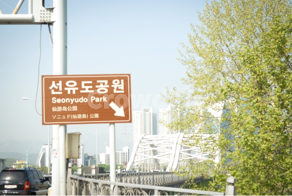 일상,휴식,공원,초록,나뭇잎,선유도,감성,하늘,힐링