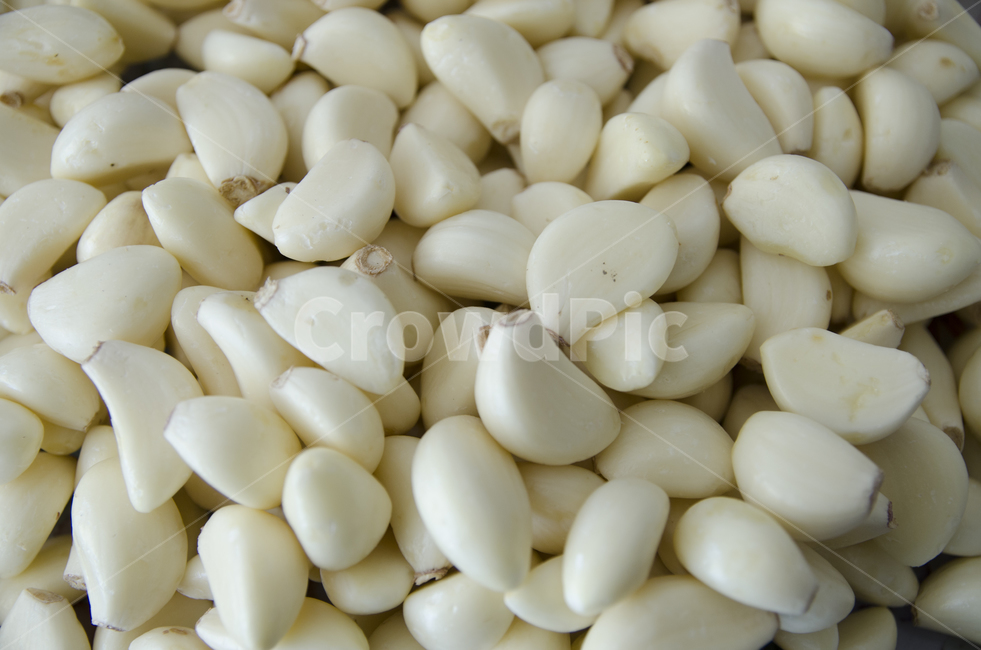 plant,식물,마늘,갈릭,매운맛,알리신,garlic