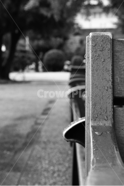 벤치,의자,비,감성,모노,흑백,모노톤,monochrome,black and white