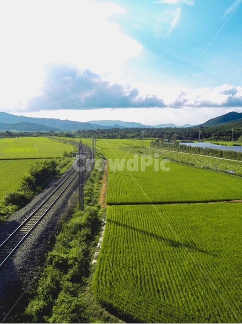 기차,밭,하늘,기찻길,길,시골,마을,풍경,landscape,country,rural,town